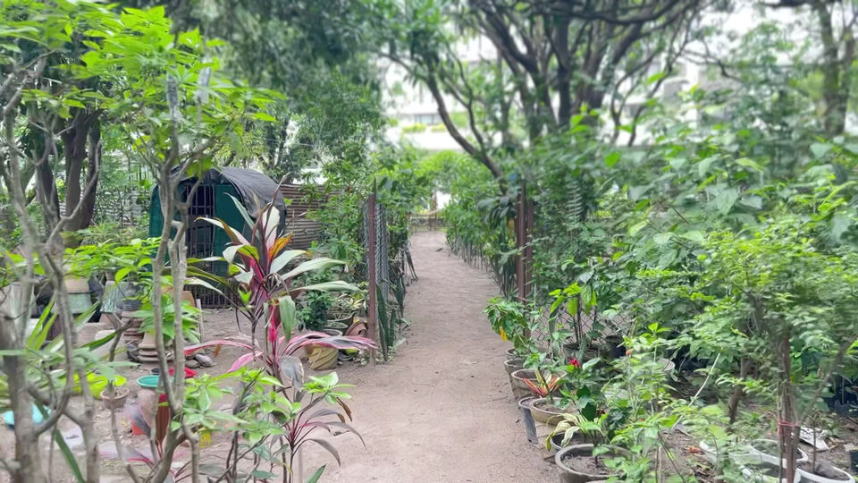 Jardim do Ashram